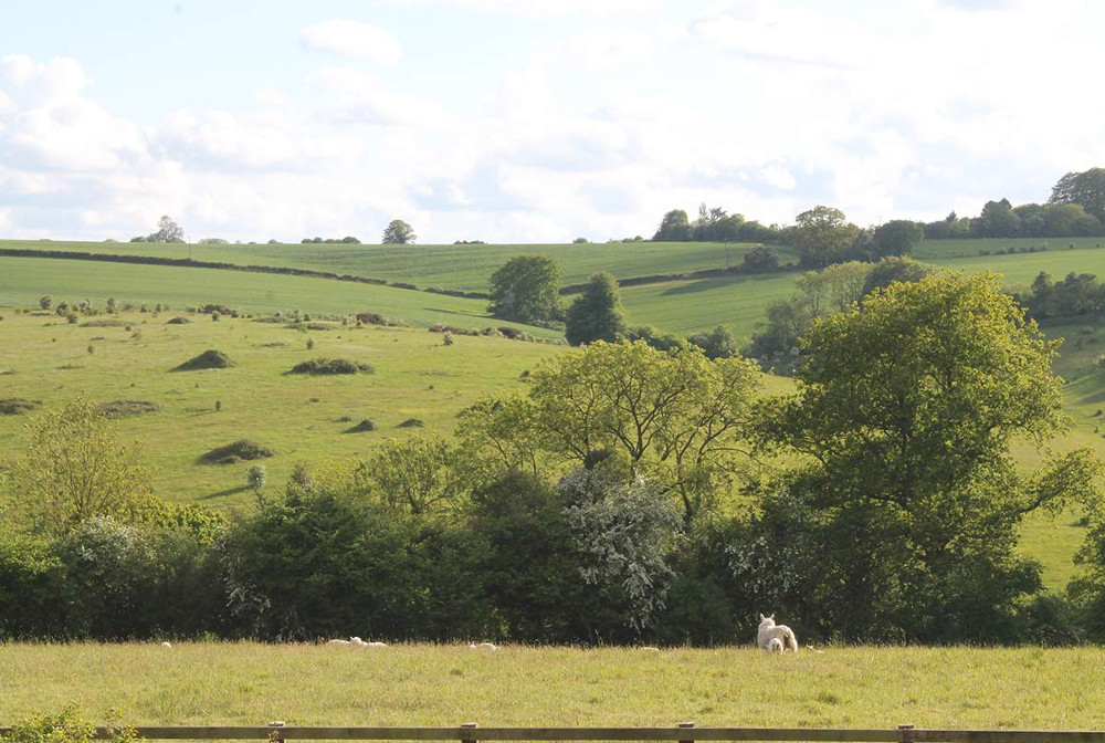 The peaceful setting at Downlands Farm in Petersfield